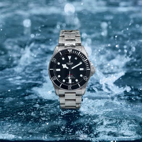 Tudor Pelagos .